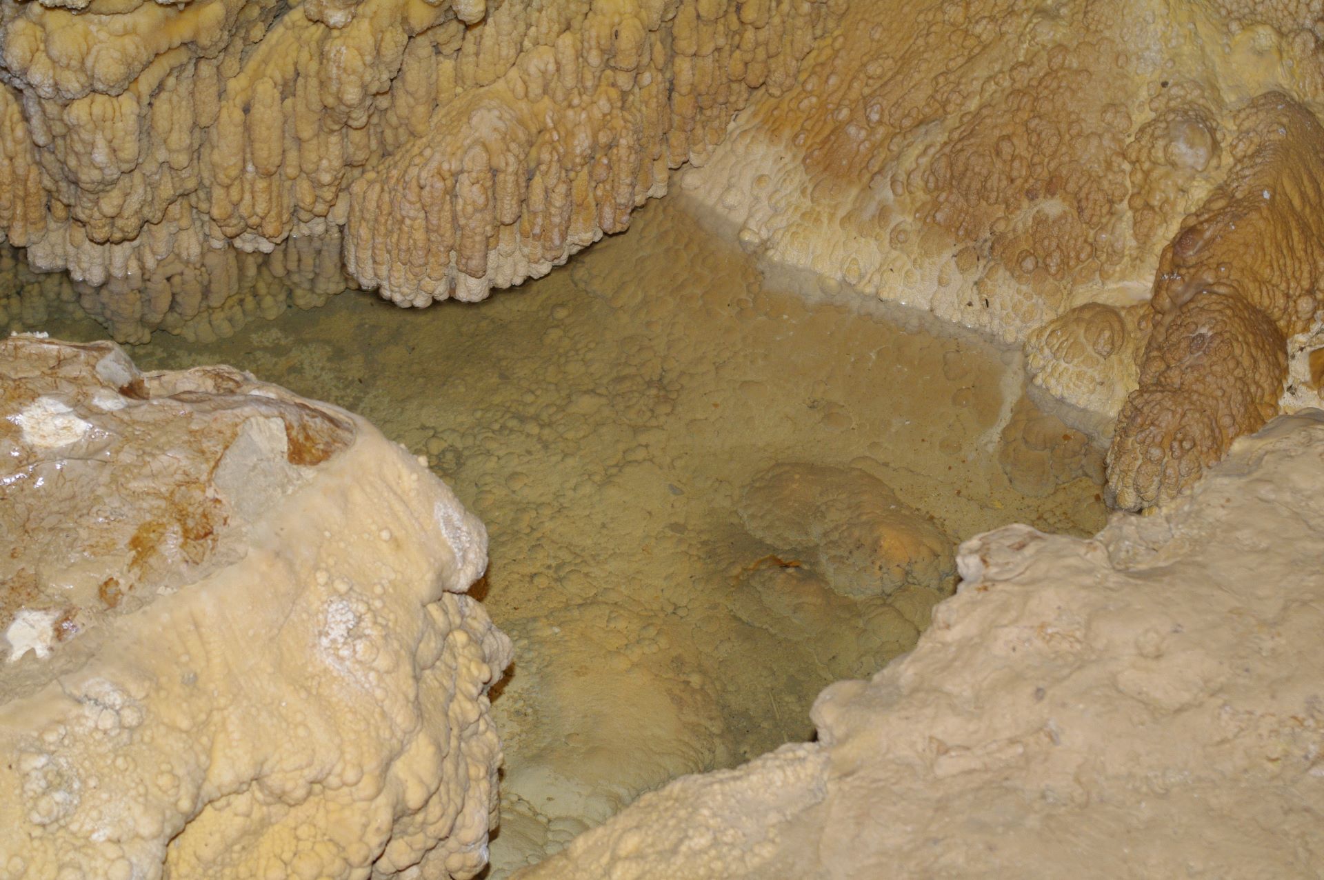 Die Luft in der Grotte ist stets rund 10° und die Feuchtigkeit nähert sich 100% (Zitat)