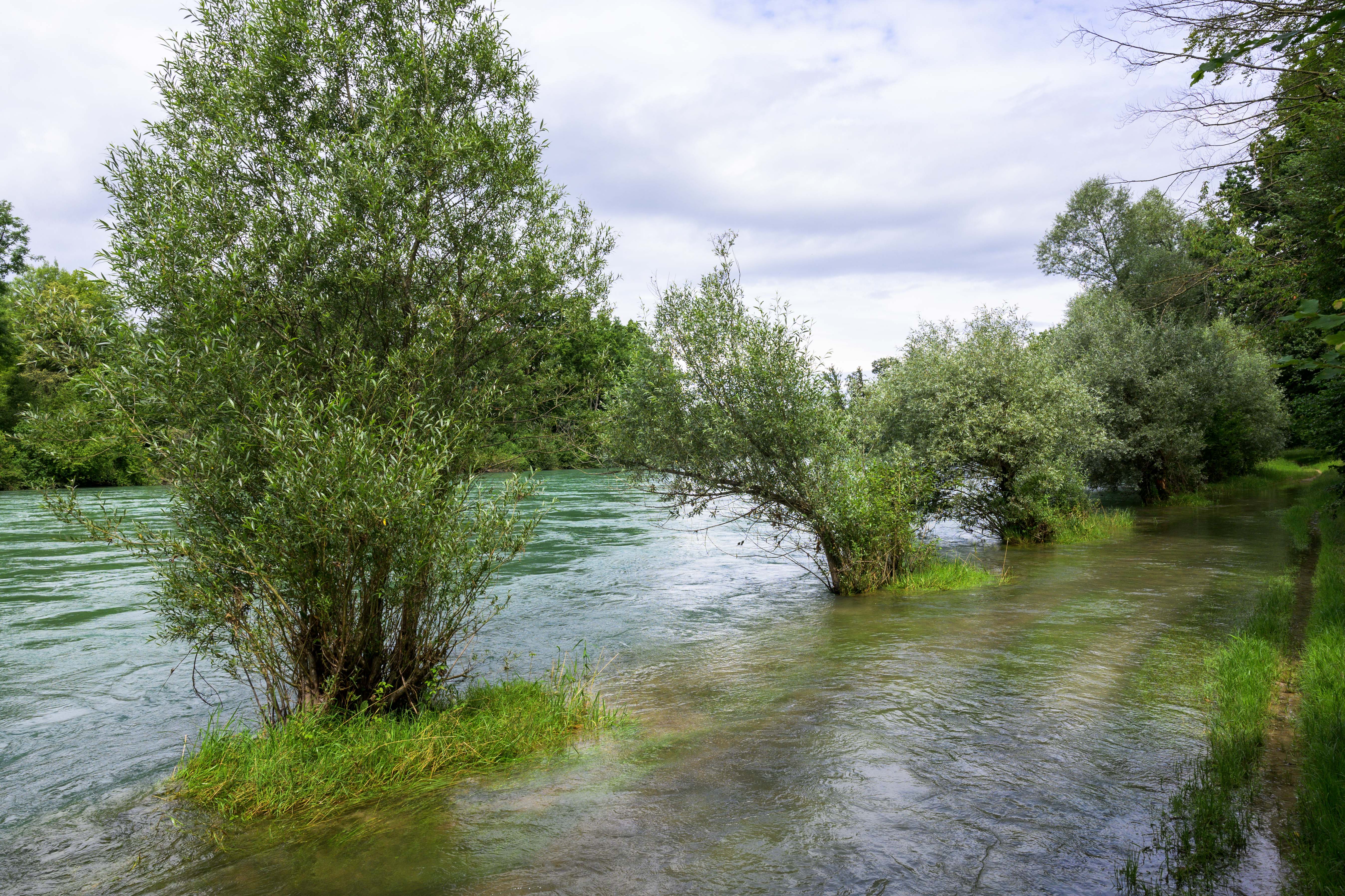 Hochwasser 2jpg