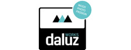 logo_daluzworks