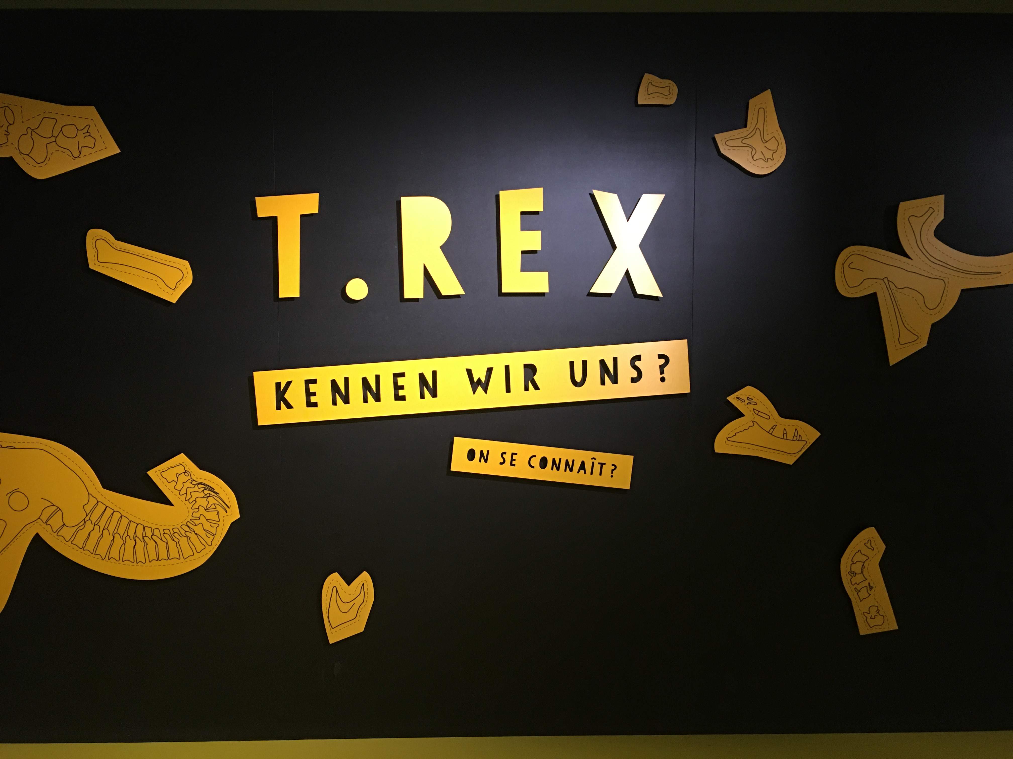 «T. Rex – kennen wir uns?» Führung durch die Ausstellung im NMBE am 21. Februar 2020