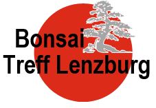 BonsaiTreff Lenzburg