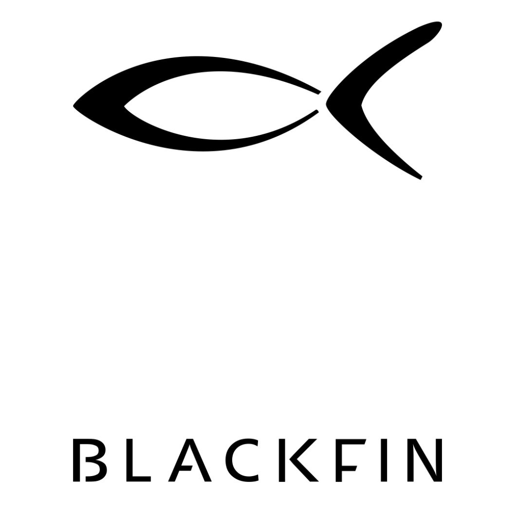 Blackfin Brillenfassung Titan