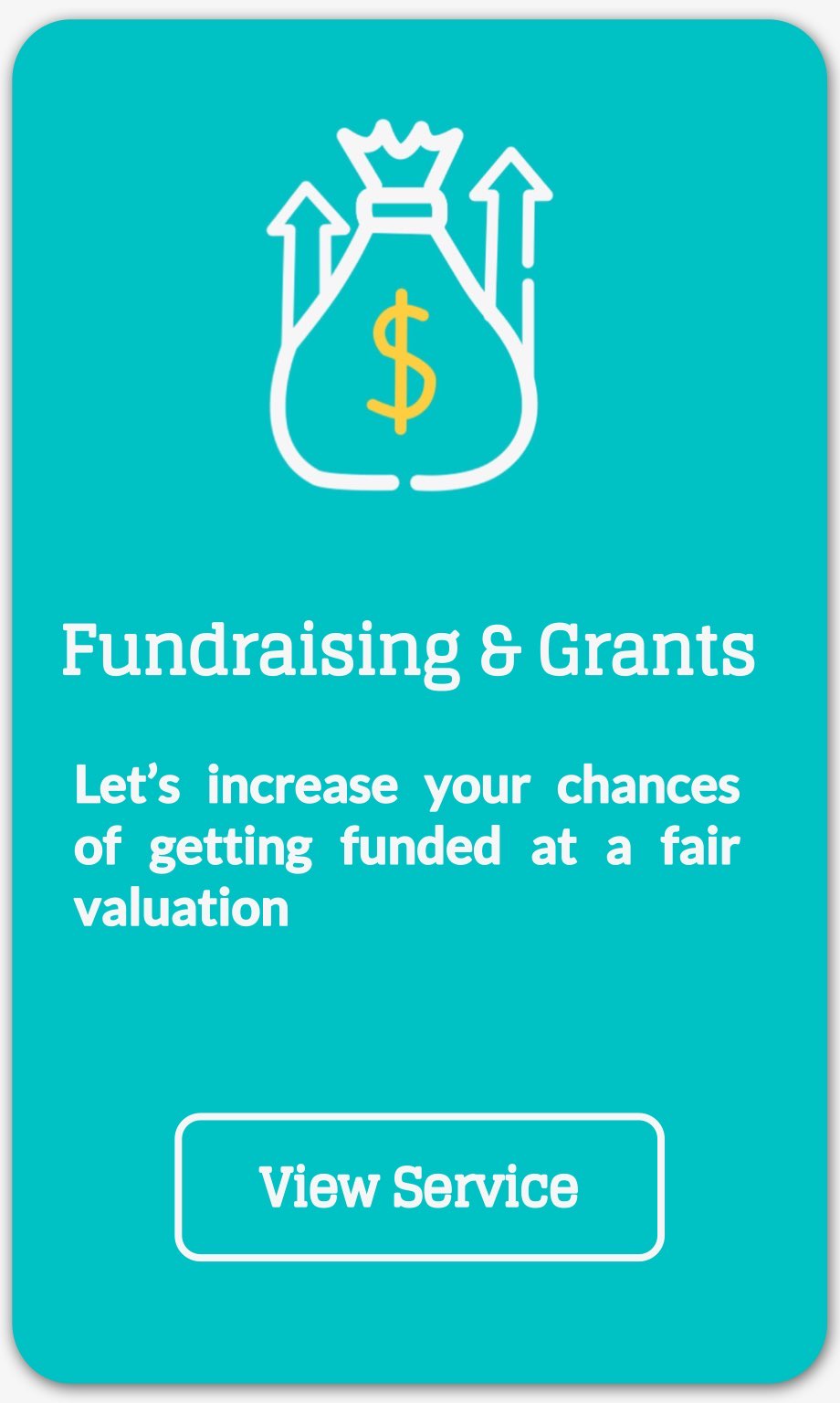 fundraising and grants