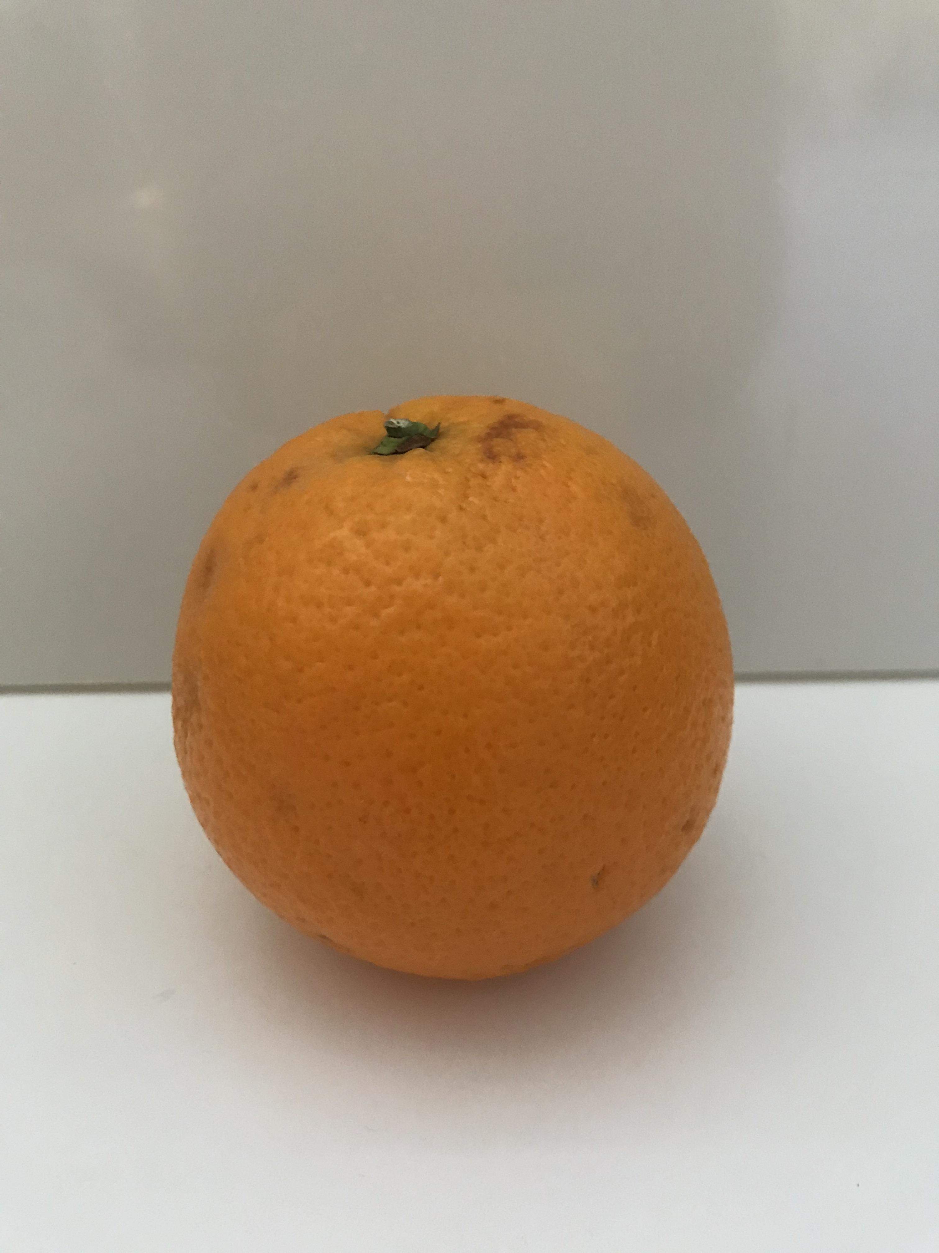 Früchte: Orangen pro Kilo