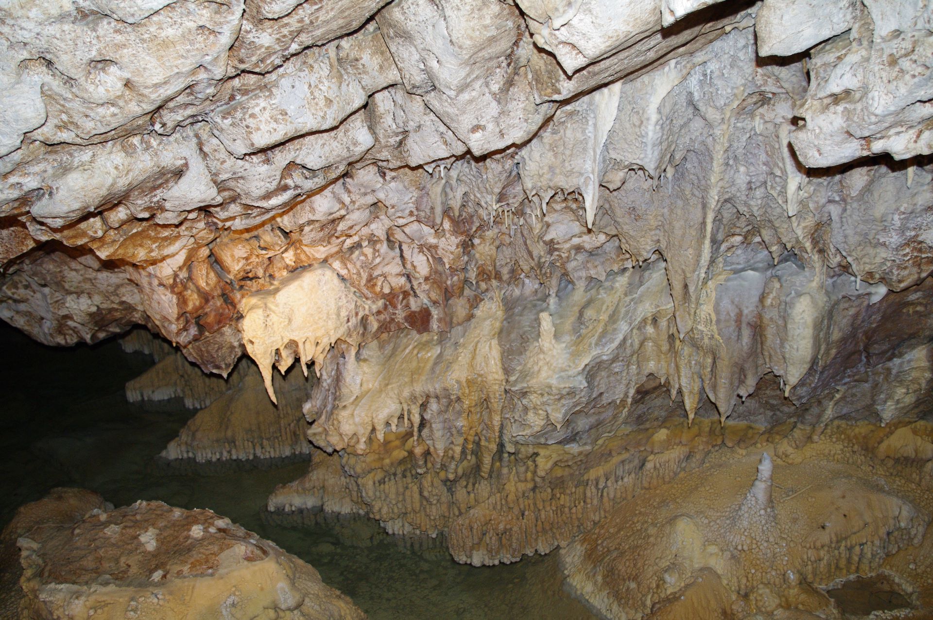 Grottes de Vallorbe sind die grössten Tropfsteinhöhlen der Schweiz