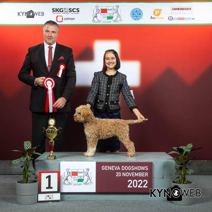 Keno Lago di Barca wurde an der Ausstellung in Geneva 2022 als Best in Show Minor puppy selektiert