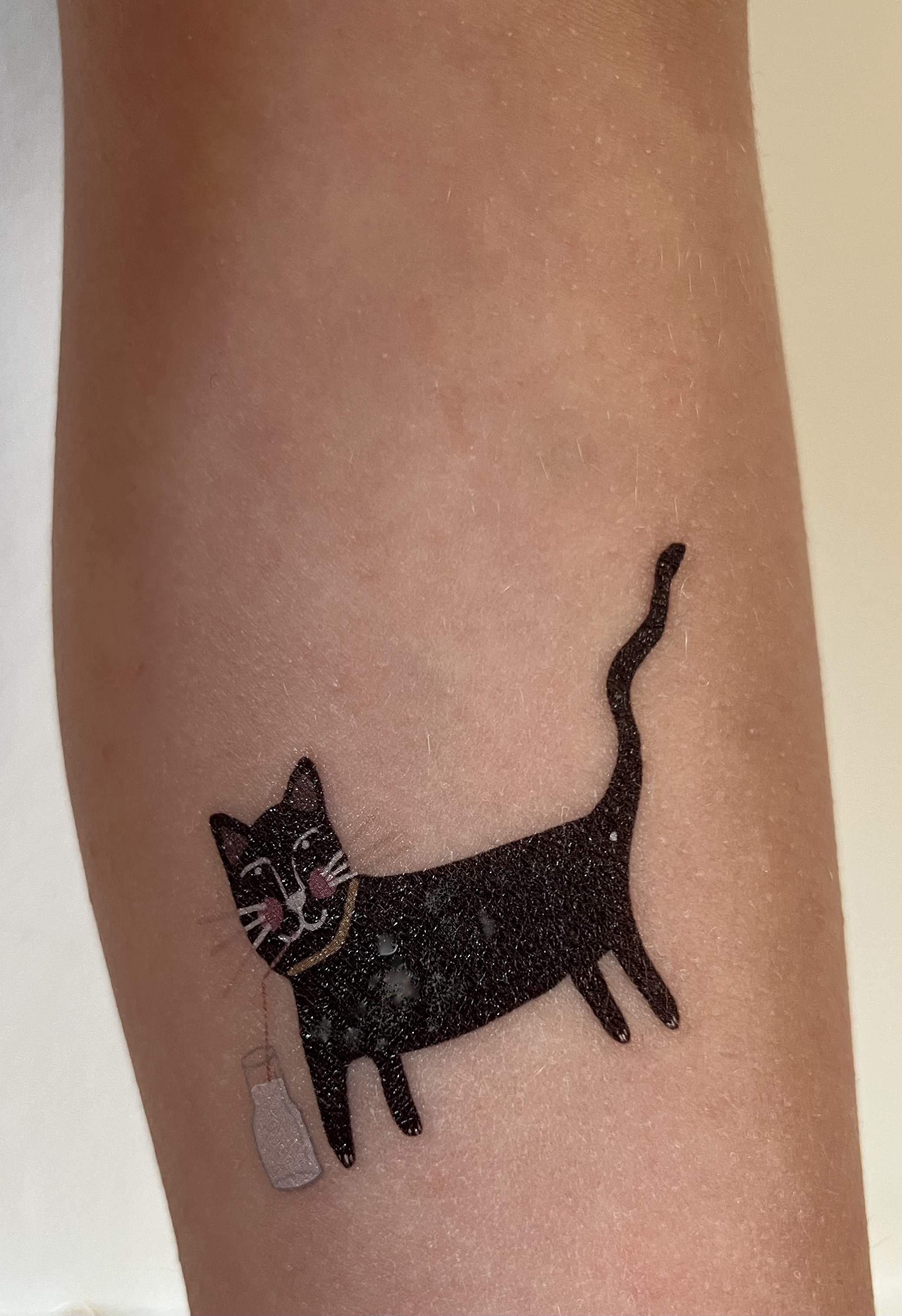 Temporäre Tattoos Set für Kinder, Drei Tiere reisen mit dem Zug