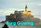 Burg_navgif