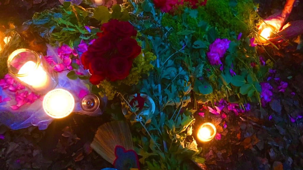 Pflanzen in buntem Licht, Kerzen