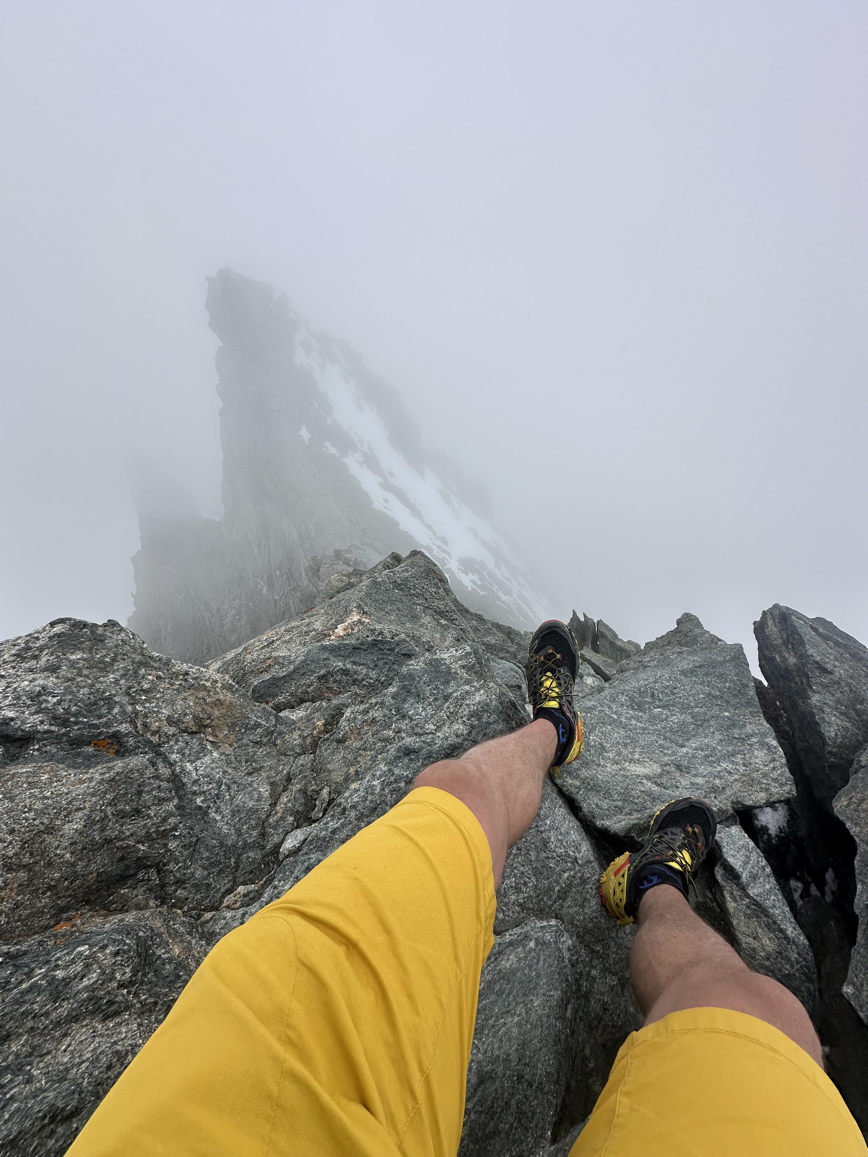 Rimpfischhorn 4199 M.