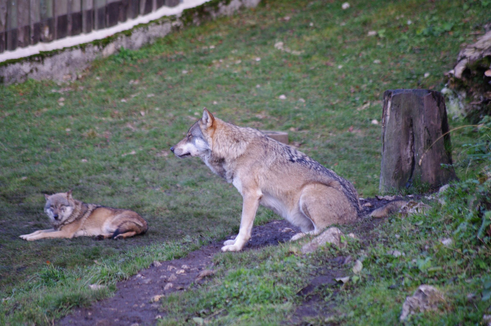 Die Mütter haben alles im Blick