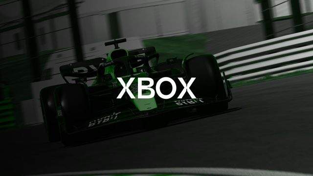 Fahne Xbox driver