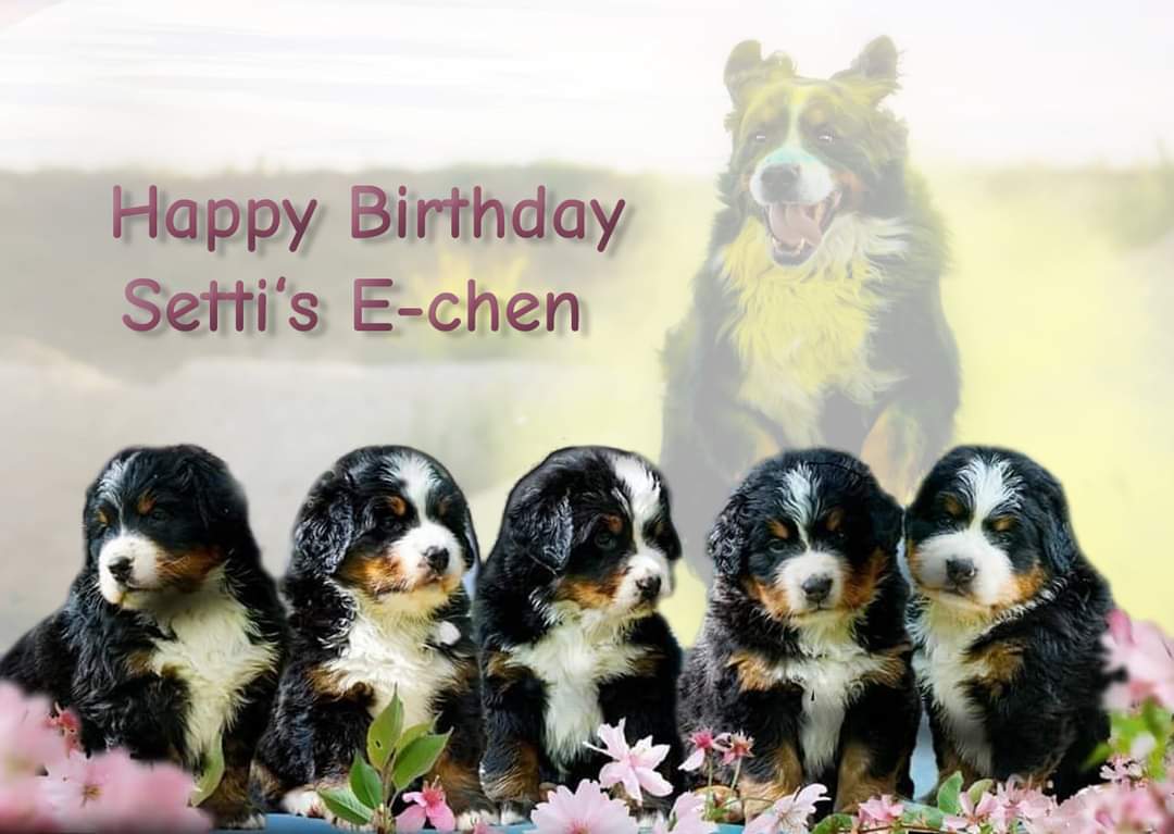 Happy Birthday E-chen