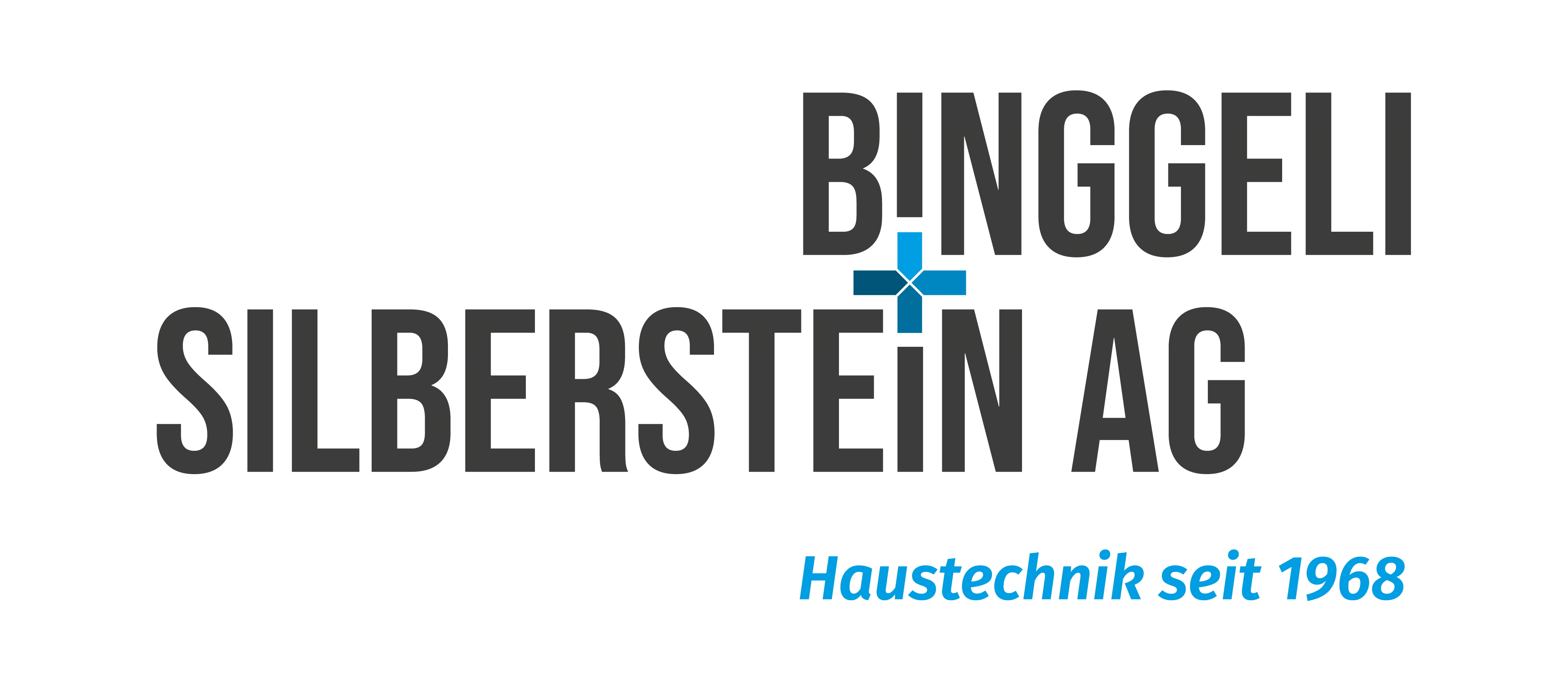 Binggeli + Silberstein AG