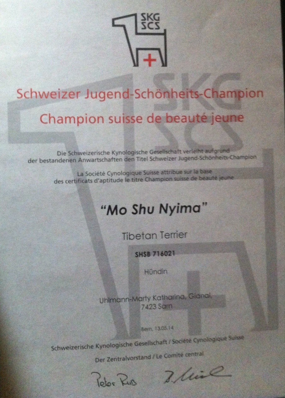 Mo Shu Nyima  Jugend Champion CH  13. Mai 2014