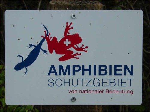 Das Grütried wurde im Jahr 2007 in das Verzeichnis "Amphibien-Schutzgebiet von nationaler Bedeutung" der Schweiz aufgenommen!