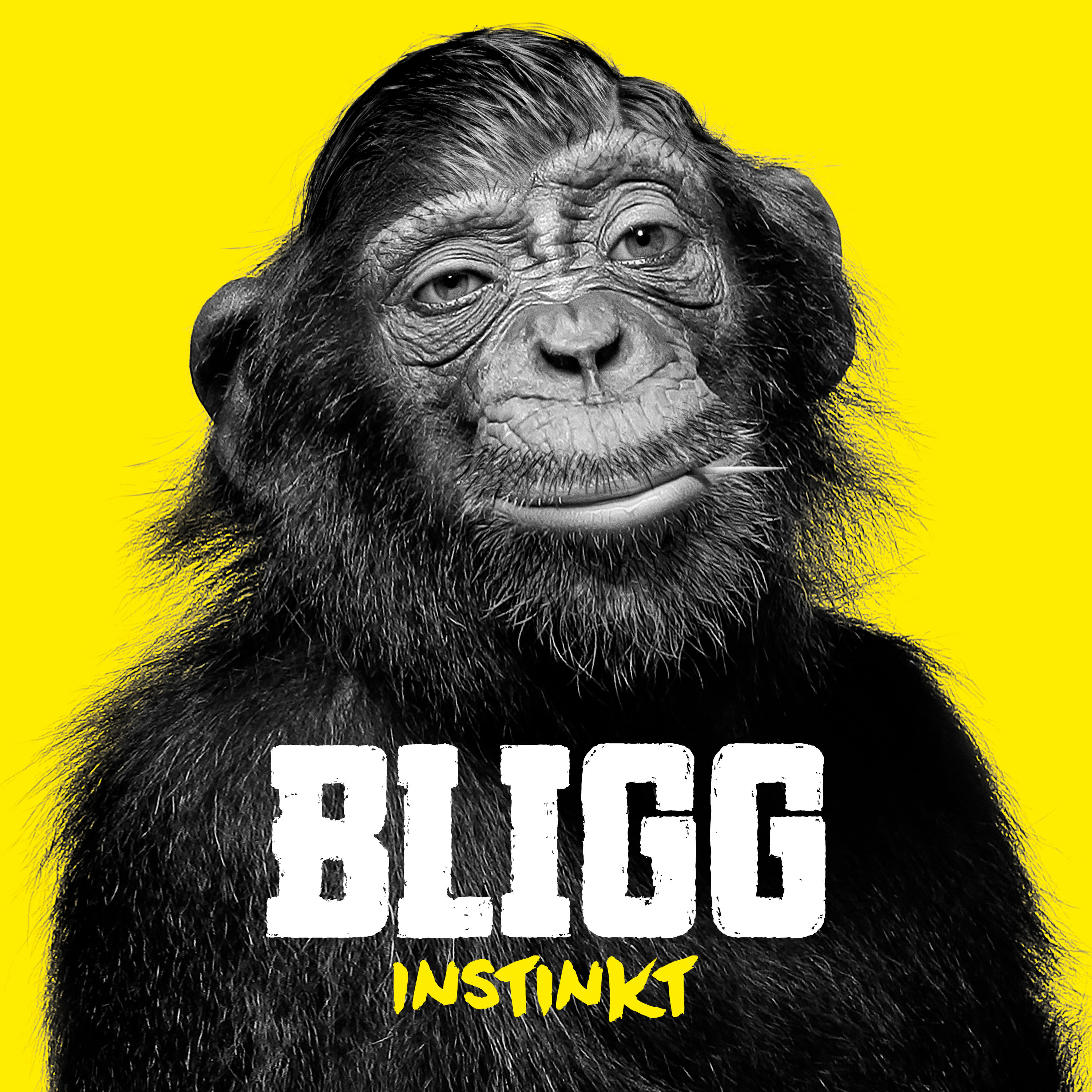 2015 - Bligg - Instinkt