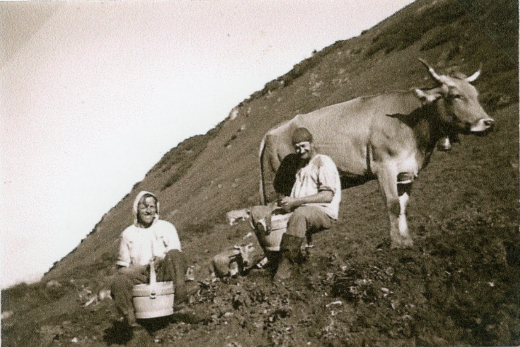 Melken 1946