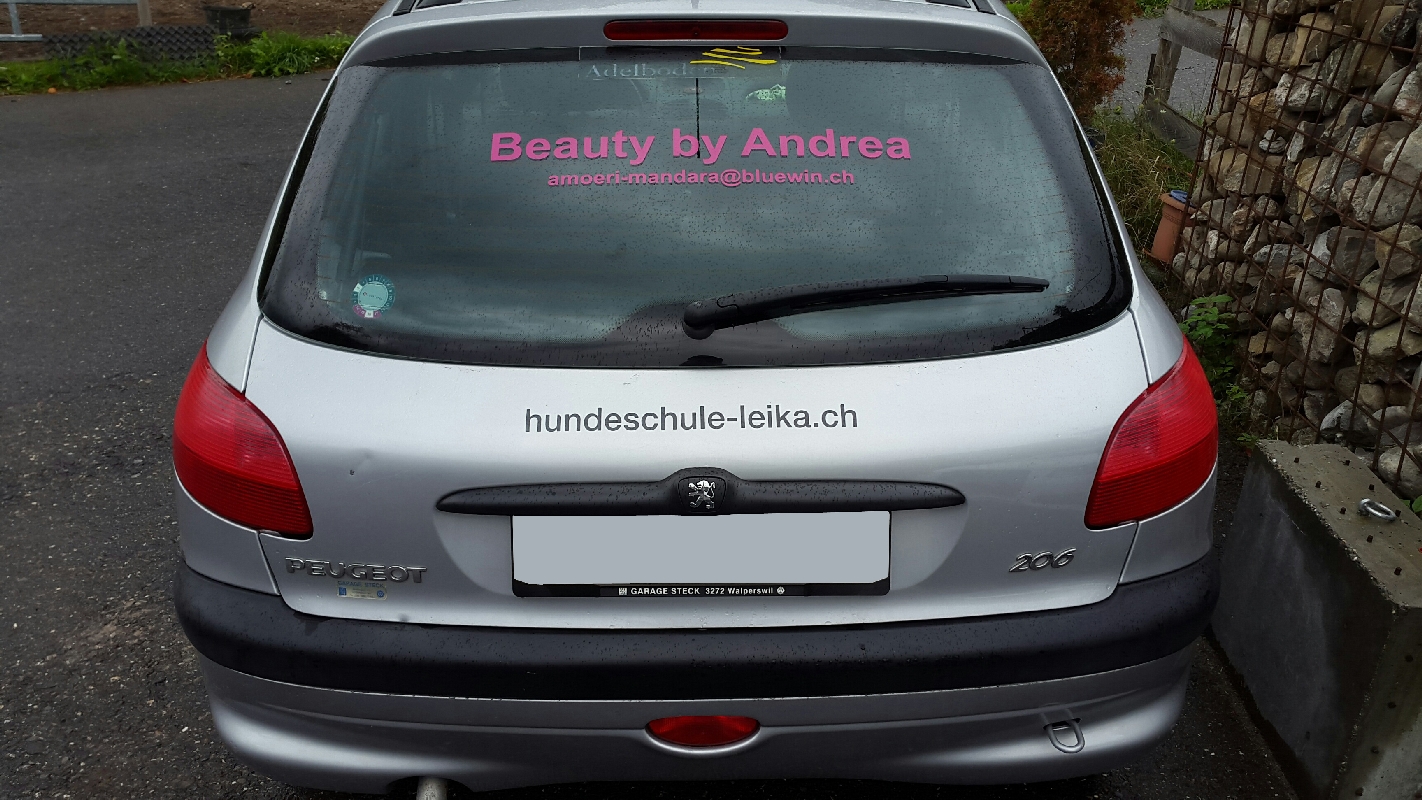 Fahrzeugbeschriftung_Heckscheibe_BeautyByAndrea