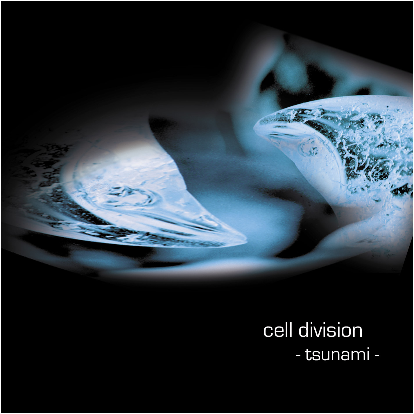 Cell Division (Tsunami) | CD