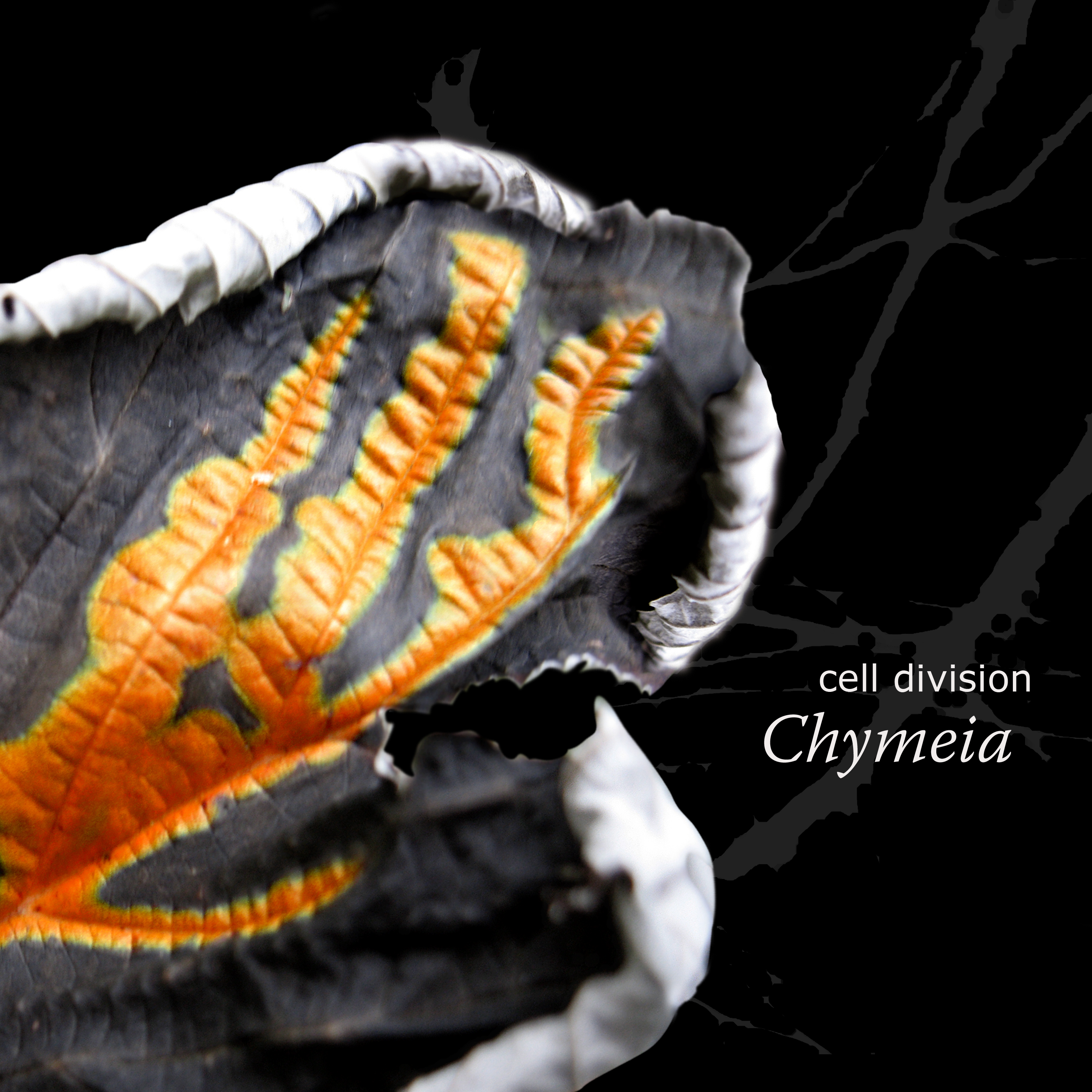 Cell Division (Chymeia) | CD