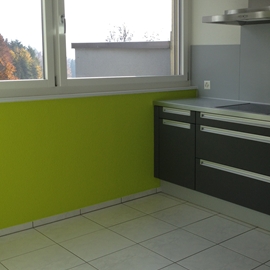 Wandelement in Küche farblich hervorheben mit dem Ziel einer frisch wirkenden Küche, Frühlingsgrün