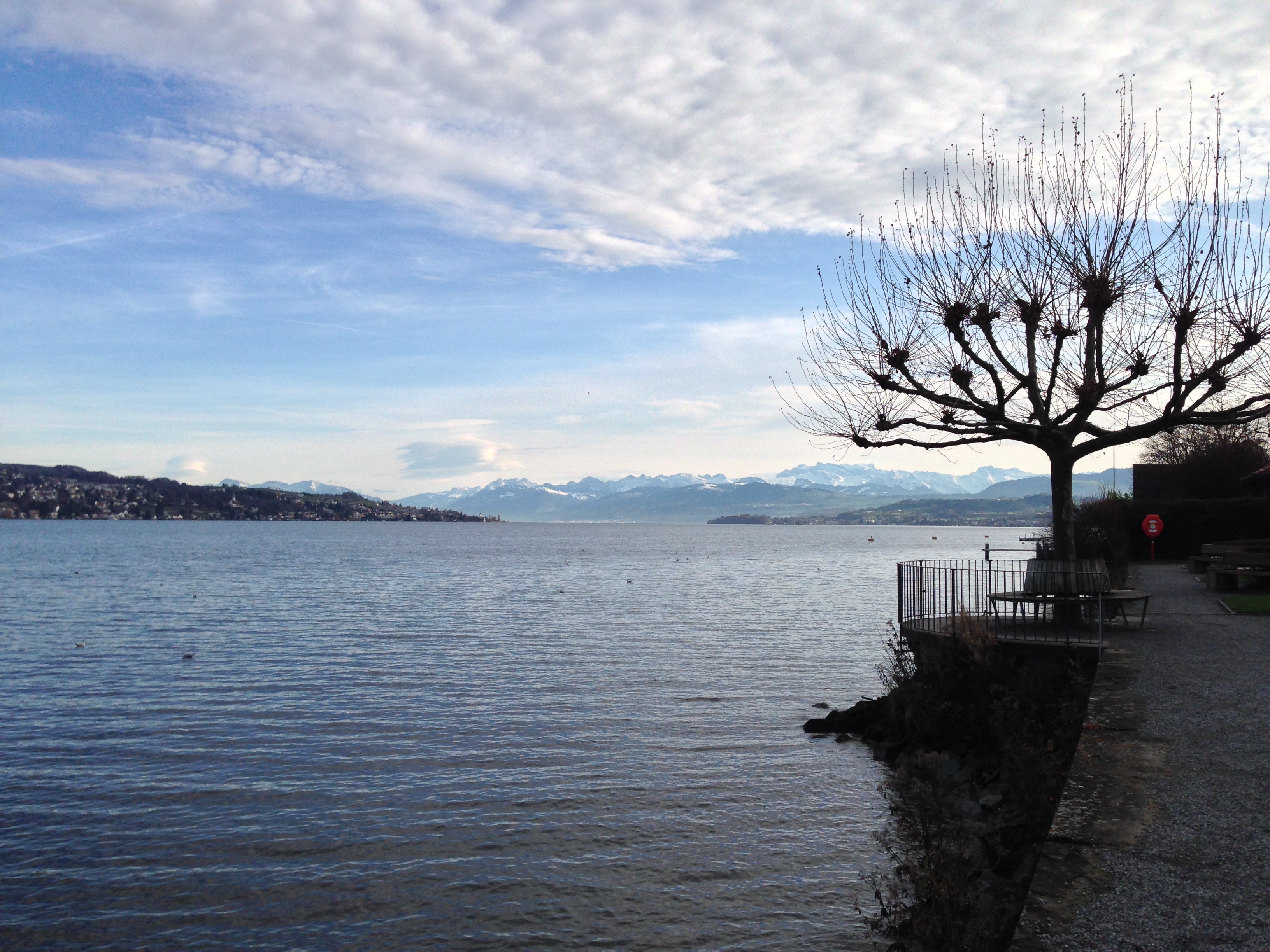 Zürichsee